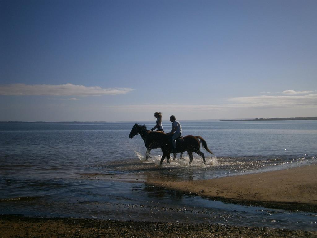 Bay Breeze Beach Holiday Home Corinella エクステリア 写真